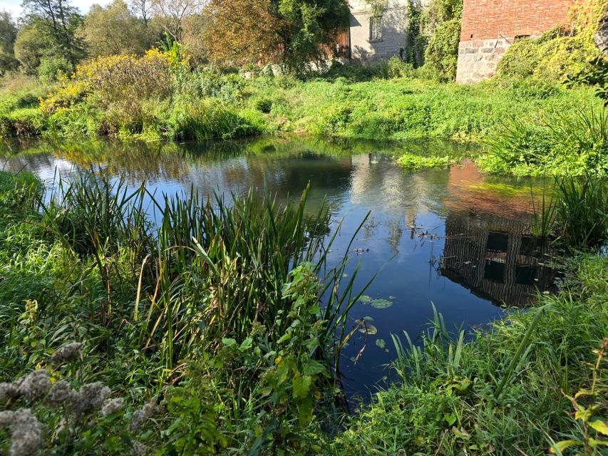 Działka rekreacyjna Grabie