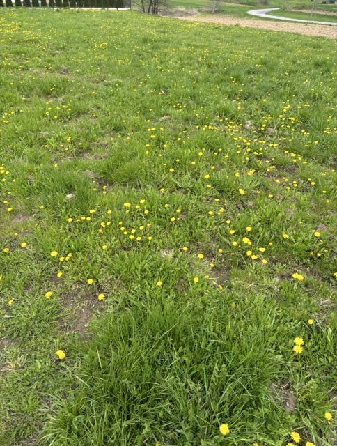 Działka budowlana Rączna