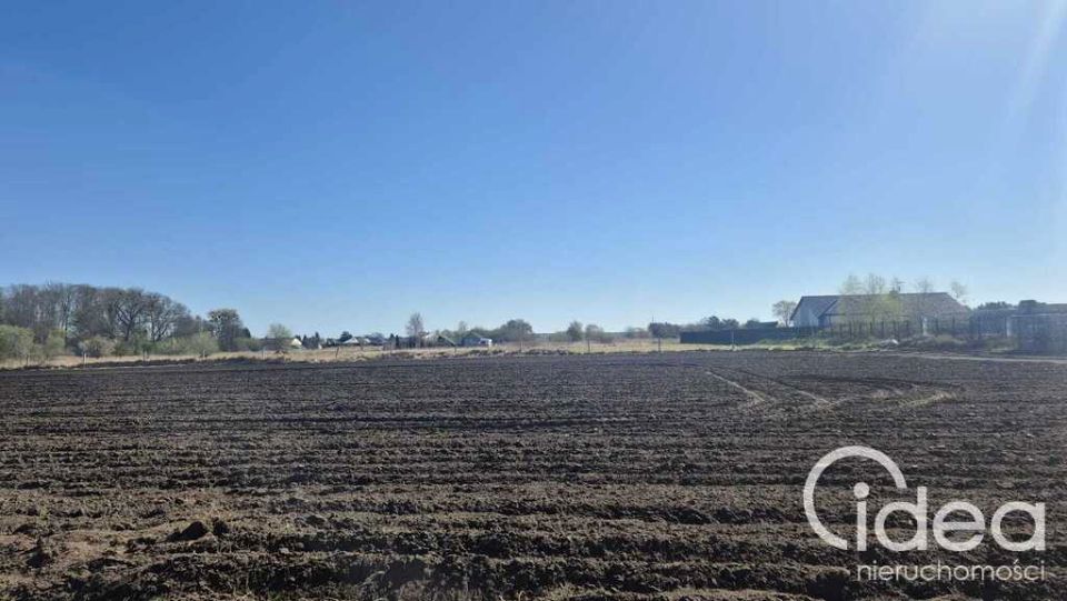 Działka budowlana Lubczyna