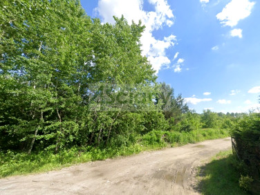 Działka budowlana SZCZĘSNE sprzedam