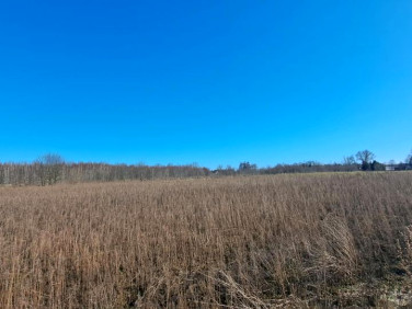 Działka Kolonia Brużyca