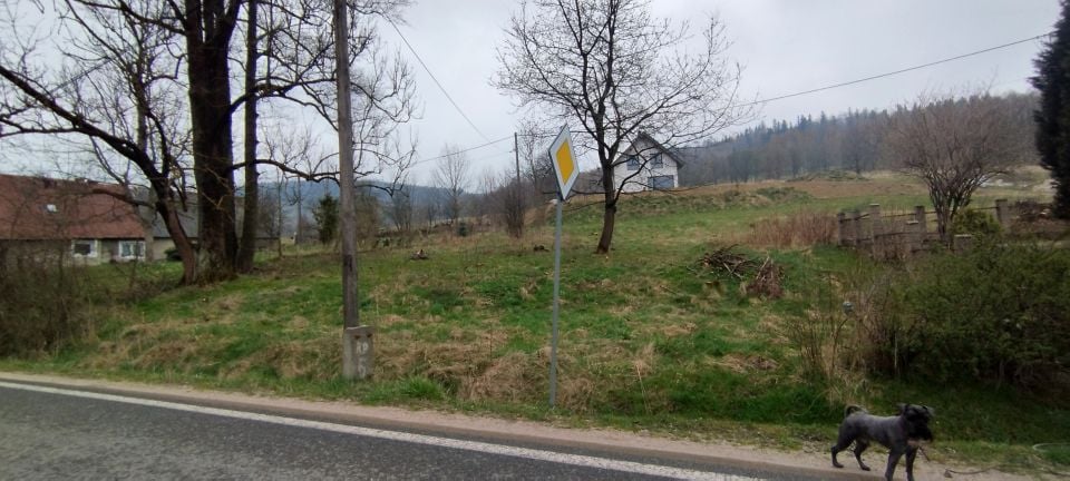 Zdjęcie 2