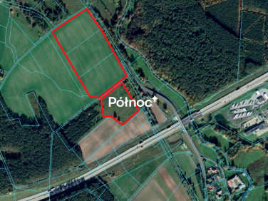 Działka inwestycyjna Dąbrowa Bolesławiecka