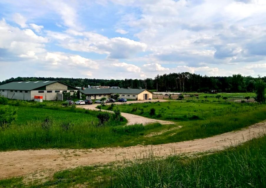 Budynek użytkowy Sady