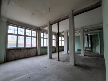 Lokal Grudziądz wynajem