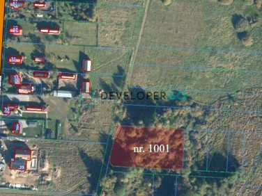 Działka rolna Białowieża