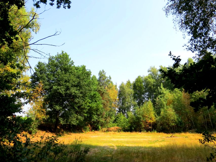 Działka budowlana Wodzisław Śląski