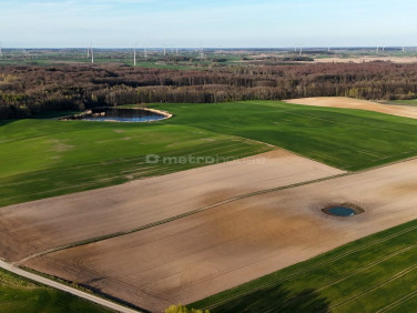 Działka rolna Limża