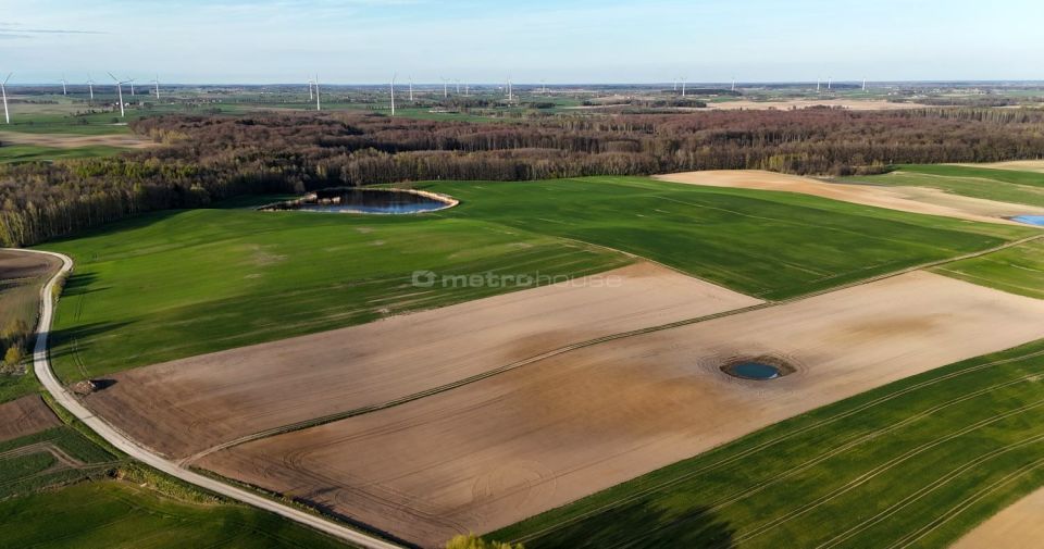 Działka rolna Limża