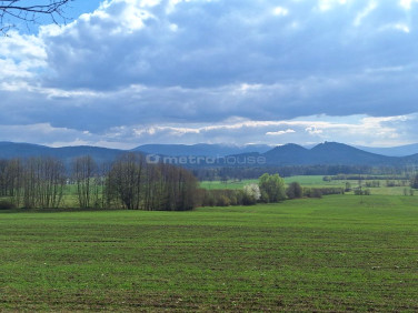 Działka budowlana Janowice Wielkie