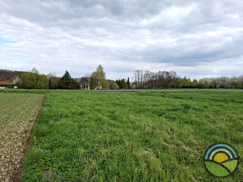 Działka budowlano-rolna Bolechowice sprzedam