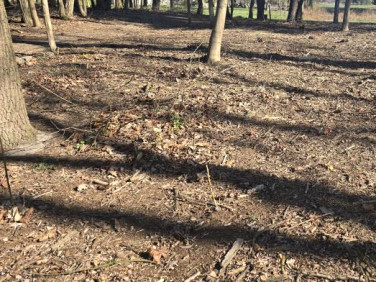 Pusta działka Wołomin