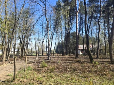 Działka Wołomin