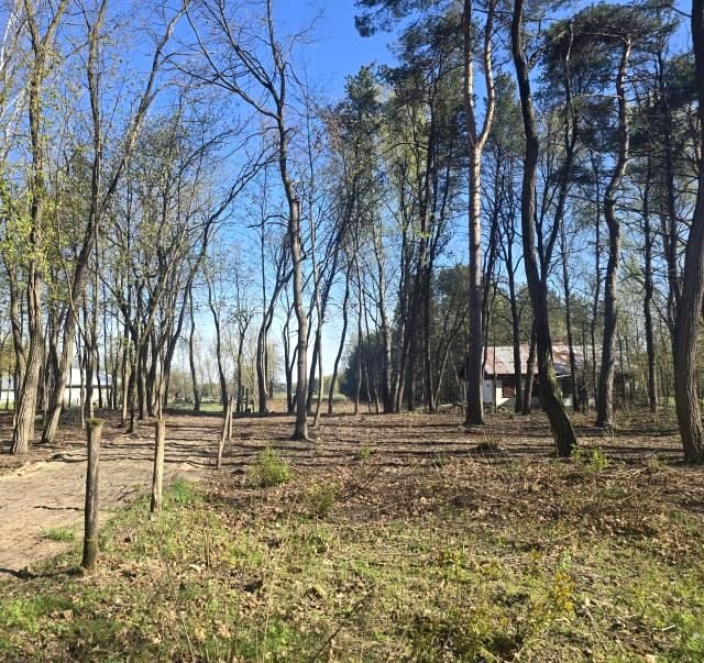 Działka budowlana, ul. Lipowa