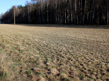 Działka budowlana Łabiszyn-Wieś