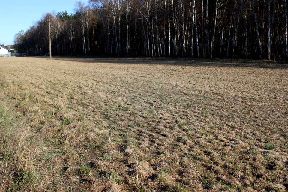 Działka budowlana Łabiszyn-Wieś