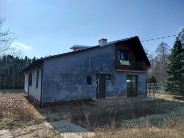 Dom wolnostojący sprzedaż