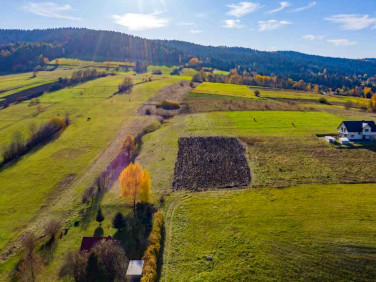 Działka Królowa Górna