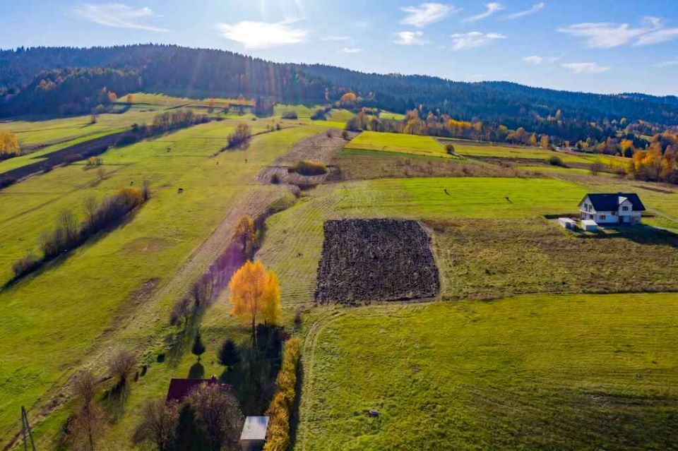 Działka Królowa Górna