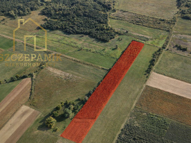 Działka leśna Cetula