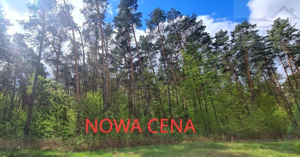 Działka Sękocin-Las