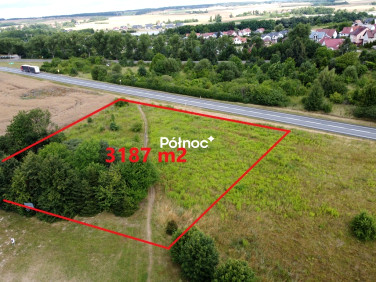 Działka usługowa CHOJNÓW