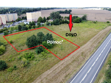 Działka usługowa Chojnów