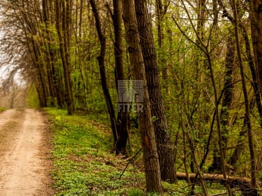 Działka budowlano-rolna Złota sprzedam