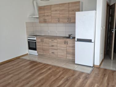 Mieszkanie apartamentowiec wynajem