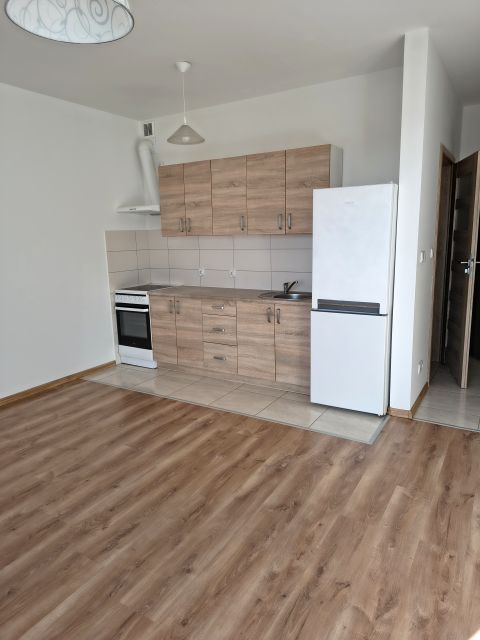 Mieszkanie apartamentowiec wynajem