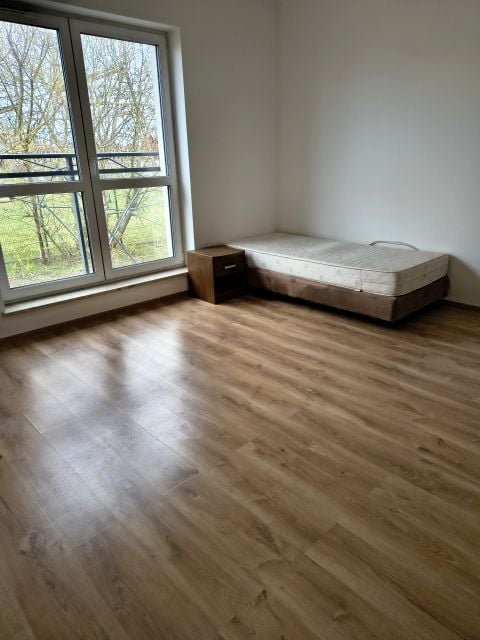 Zdjęcie 2