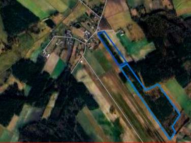 Działka leśna Żmijewo-Gaje