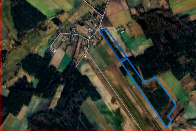 Działka leśna Żmijewo-Gaje