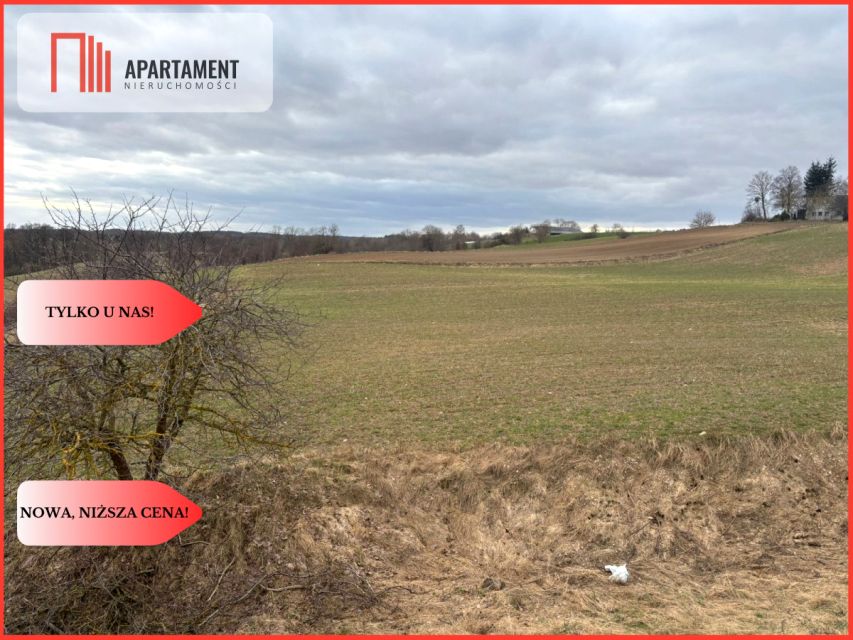 Działka Liniewskie Góry