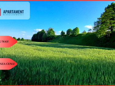 Działka budowlana Liniewo