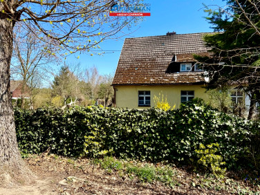 Dom Trzcianka sprzedaż