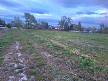 Działka Duchnów