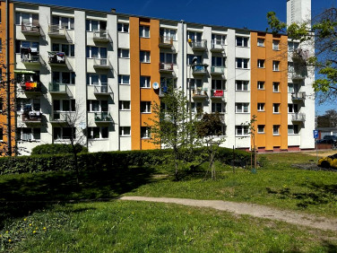 Mieszkanie Piotrków Trybunalski