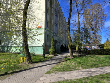 Mieszkanie Pabianice