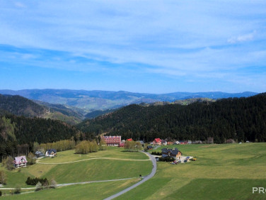 Dom Piwniczna-Zdrój