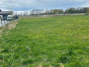 Działka budowlana Dobrzyniewo Kościelne