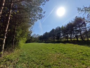 Działka Zambski Stare