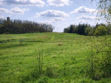 Działka budowlana Dobromierz
