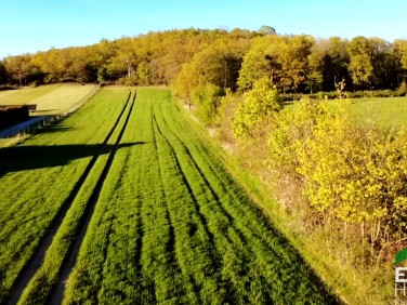 Działka siedliskowa Żelazów