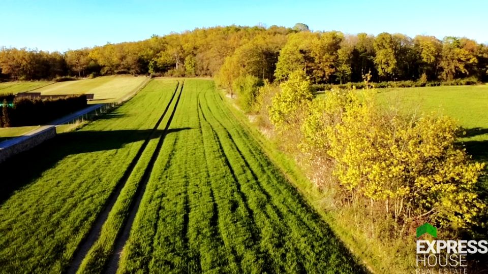 Działka siedliskowa Żelazów