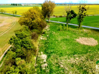Działka budowlana Dłużyce