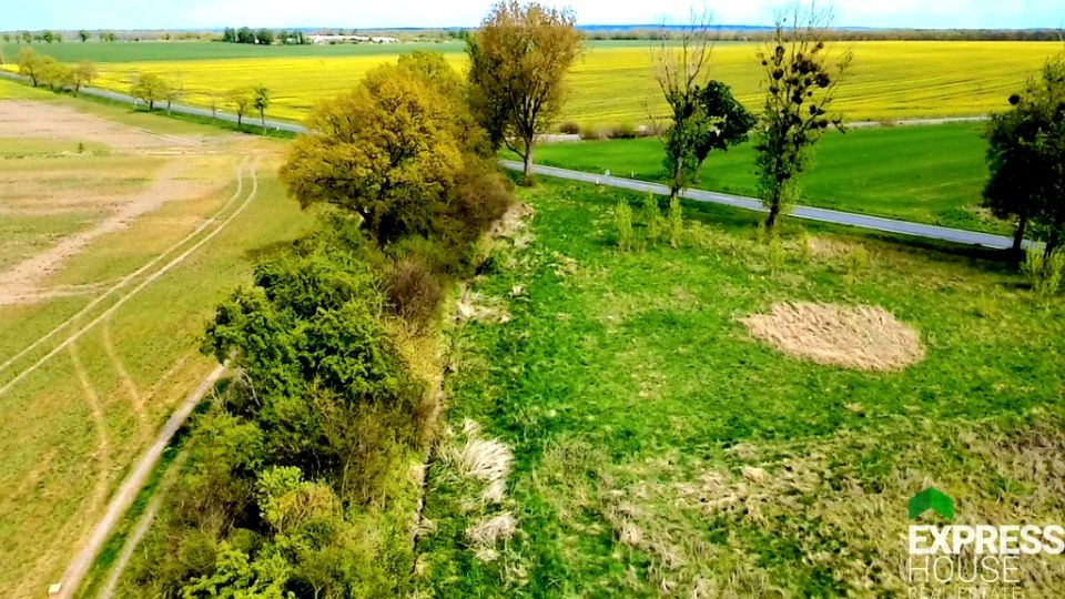 Działka budowlana Dłużyce