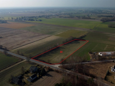 Działka inwestycyjna Korzeń Królewski