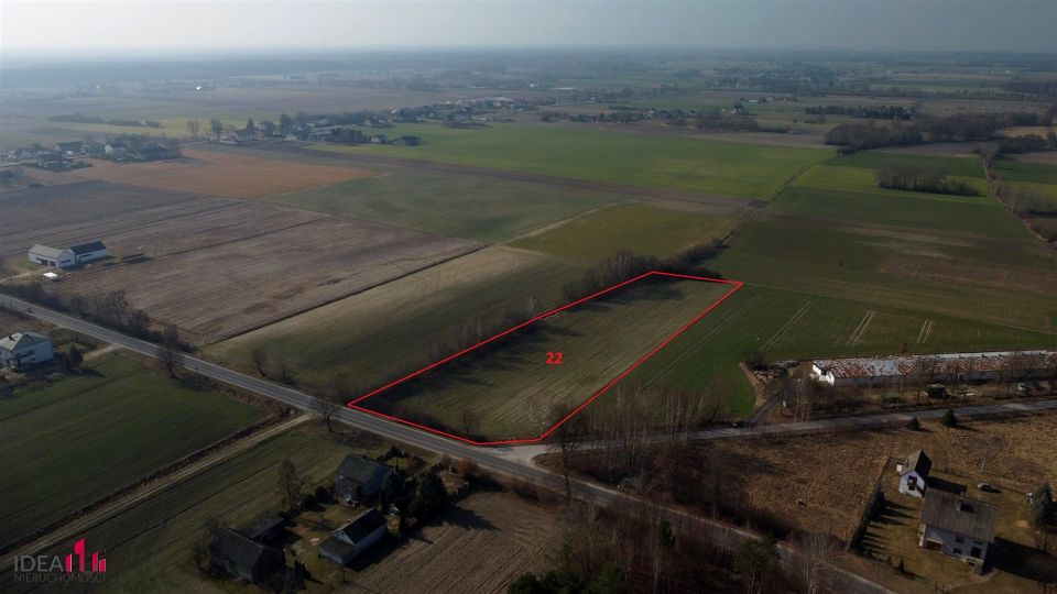 Działka inwestycyjna Korzeń Królewski