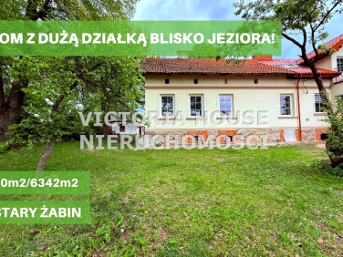Dom Żabin